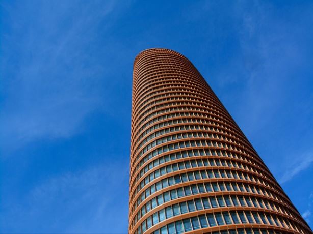 나토필 가격 및 판매처