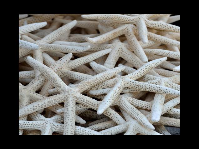 국세청 계산 방법