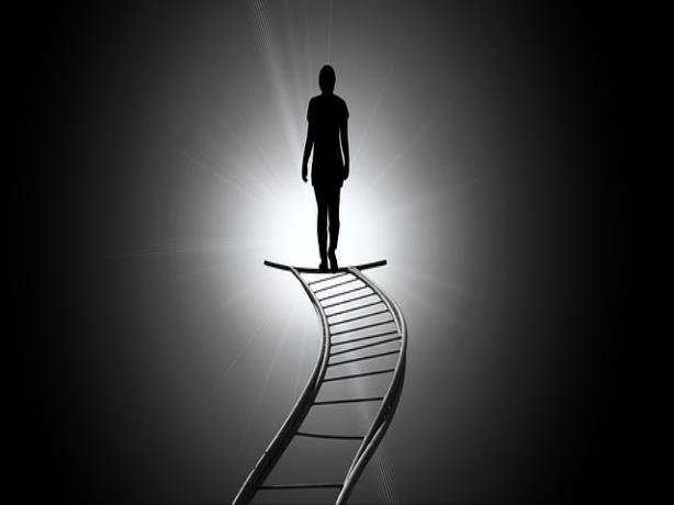 중고차 매매 차량 조회