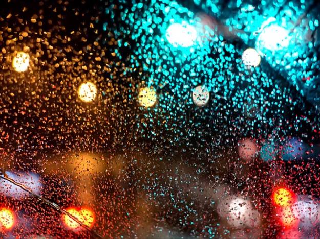 어떤 폴리코사놀을 골라야 할까요?