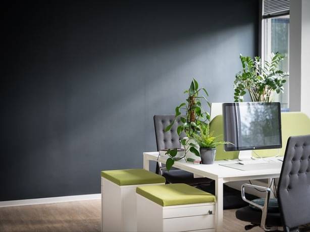 기초연금 개혁안