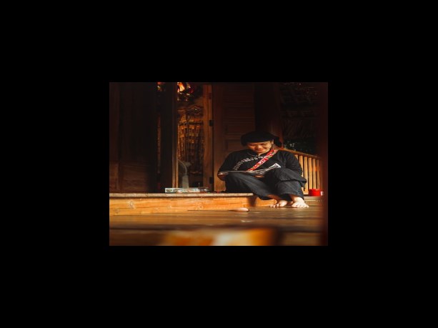 더불어민주연합 비례대표 지지율