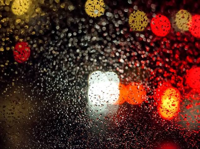 국민연금보험료