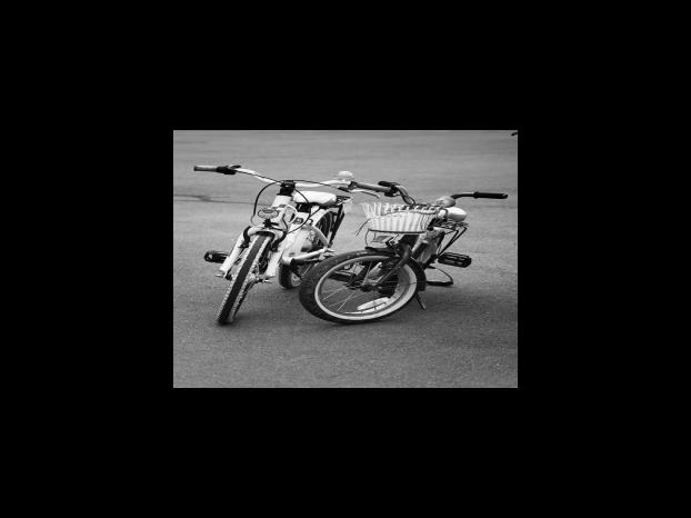 실속형 남도장터