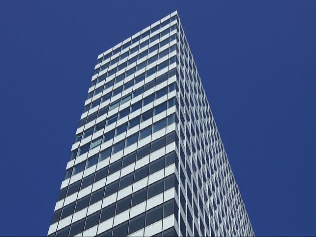 비타민 A의 부작용