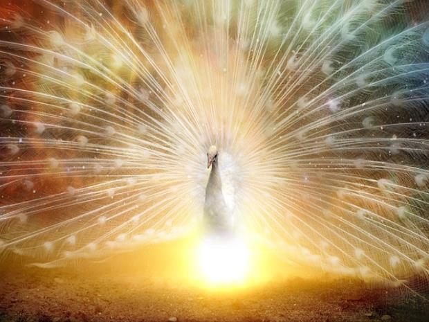 신체 질환이 있는 경우?