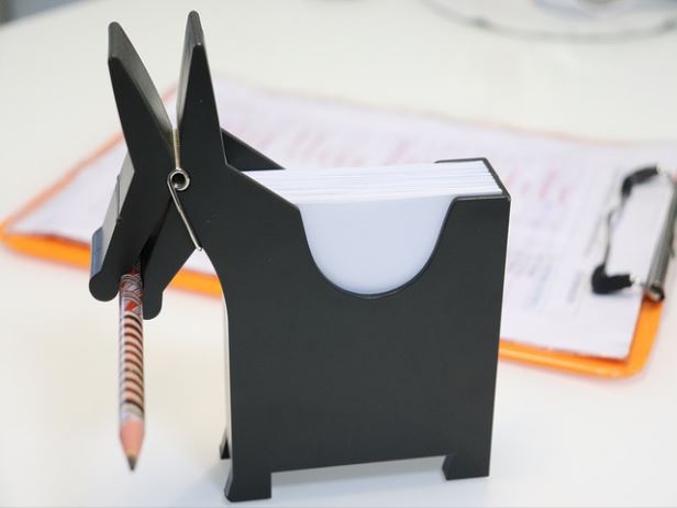 콜린의 효능 및 효과