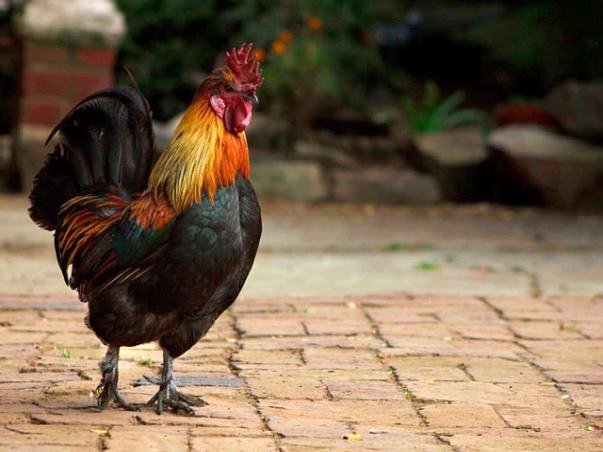 국민은행 정기예금 금리의 장점