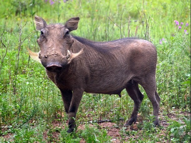 층간소음에 다루는 방법