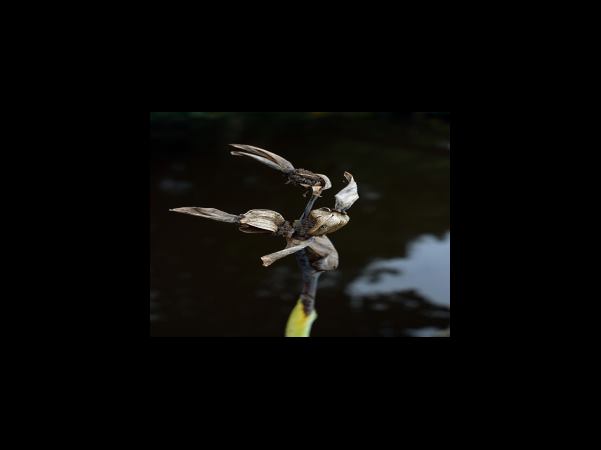 주차대행 및 셔틀이용