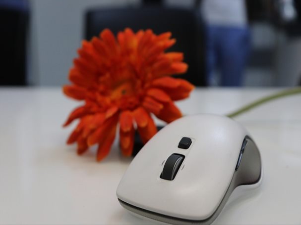 대란 특란 왕란 영양 차이