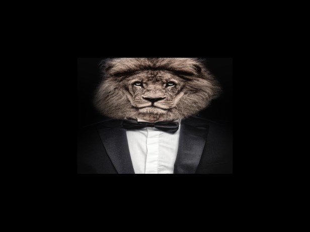 우루사 복약정보