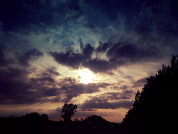 음식물 처리기 지원금 신청 자격