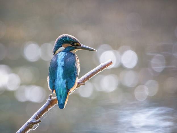 음식물처리기 지원금 신청방법