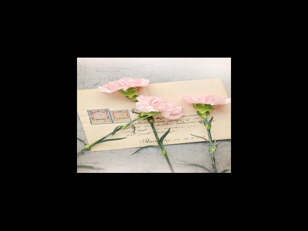 요리가 주는 위안