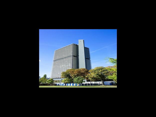 아로니아 하루 섭취량 및 칼로리