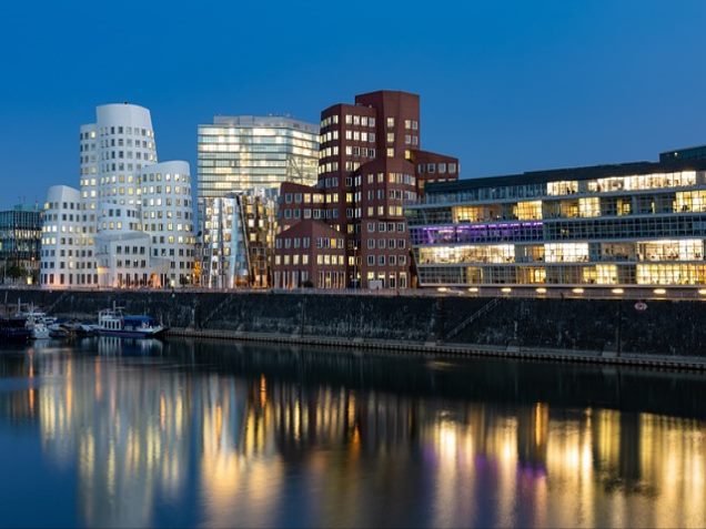 아로니아 먹는 법