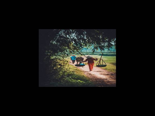 연가 당겨 쓰기